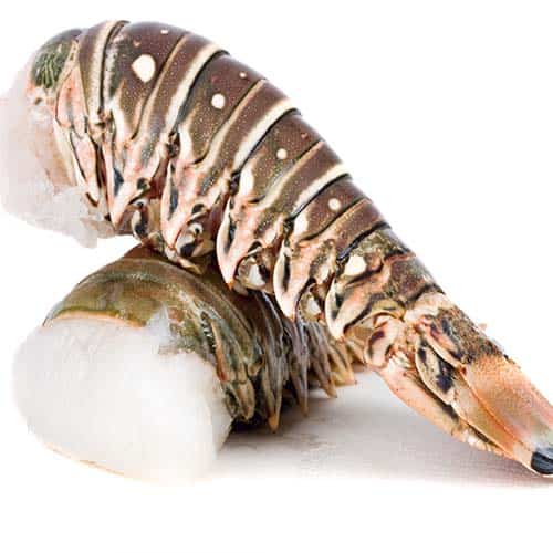 Lobster Tails (2 x 5oz each) - Seafresh - The Online Fishmonger